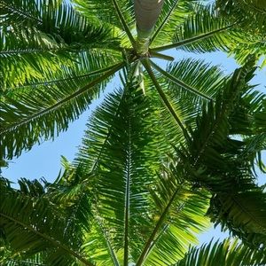 Meet your Posher, Carolyn